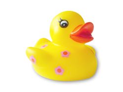 rubber duck 1